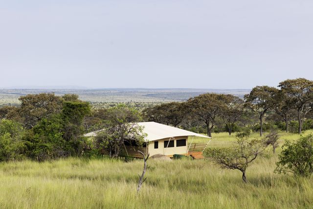 Serengeti Bushtops